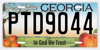 GA license plate PTD9044
