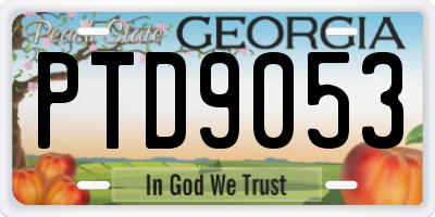 GA license plate PTD9053