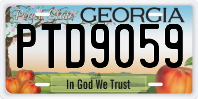 GA license plate PTD9059