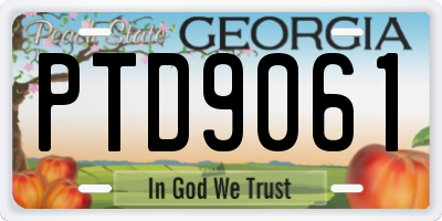 GA license plate PTD9061
