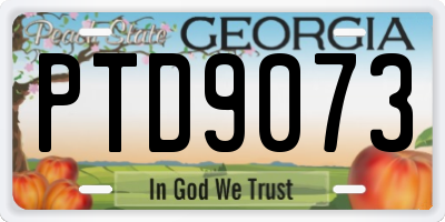 GA license plate PTD9073