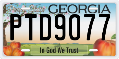 GA license plate PTD9077