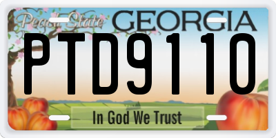 GA license plate PTD9110