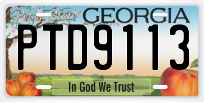 GA license plate PTD9113