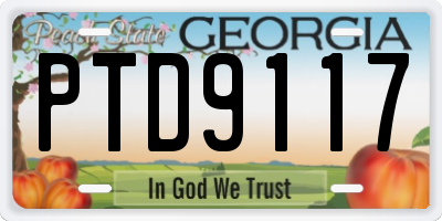 GA license plate PTD9117