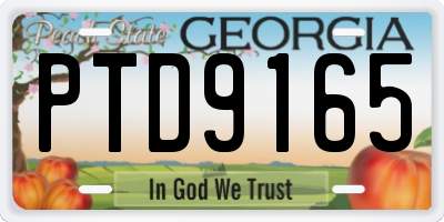 GA license plate PTD9165