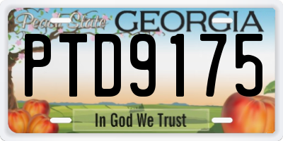 GA license plate PTD9175