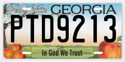 GA license plate PTD9213