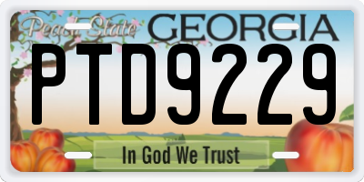 GA license plate PTD9229