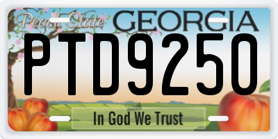 GA license plate PTD9250