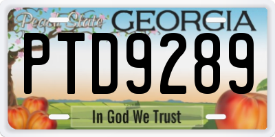GA license plate PTD9289