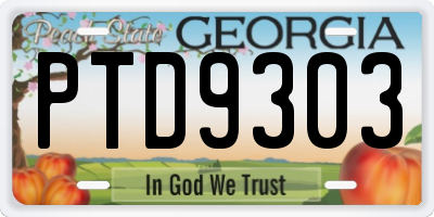 GA license plate PTD9303
