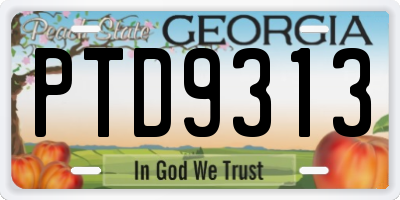 GA license plate PTD9313