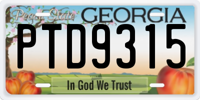 GA license plate PTD9315