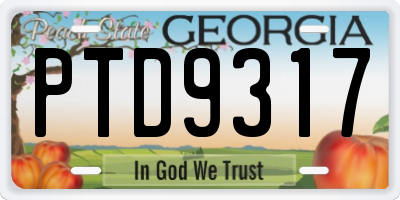 GA license plate PTD9317
