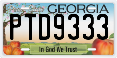 GA license plate PTD9333