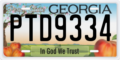 GA license plate PTD9334
