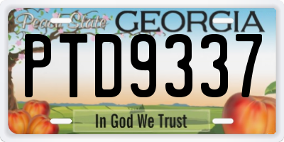 GA license plate PTD9337