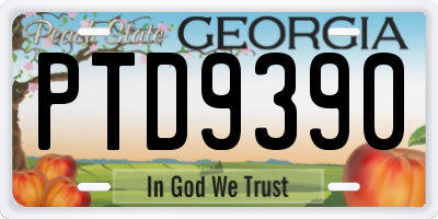 GA license plate PTD9390