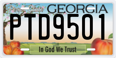 GA license plate PTD9501