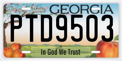 GA license plate PTD9503