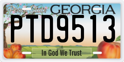 GA license plate PTD9513