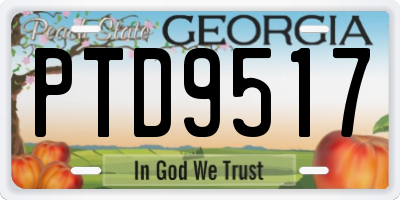 GA license plate PTD9517