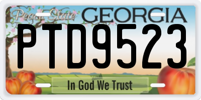GA license plate PTD9523
