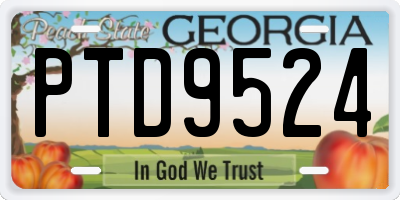 GA license plate PTD9524