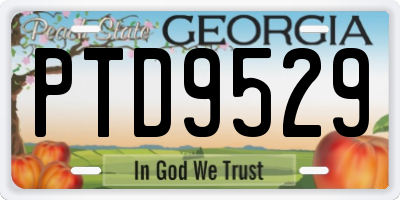 GA license plate PTD9529