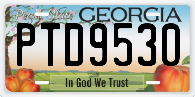 GA license plate PTD9530