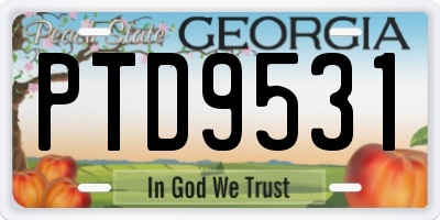 GA license plate PTD9531