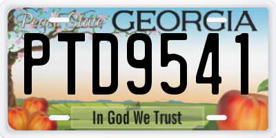 GA license plate PTD9541