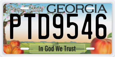 GA license plate PTD9546