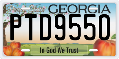 GA license plate PTD9550