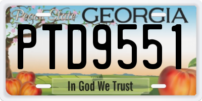 GA license plate PTD9551