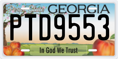 GA license plate PTD9553