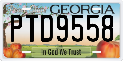 GA license plate PTD9558