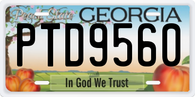 GA license plate PTD9560