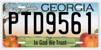 GA license plate PTD9561