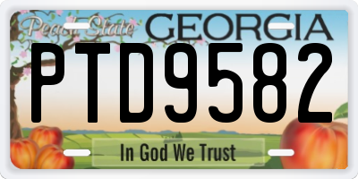 GA license plate PTD9582