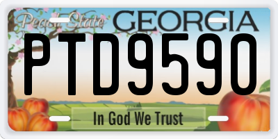 GA license plate PTD9590