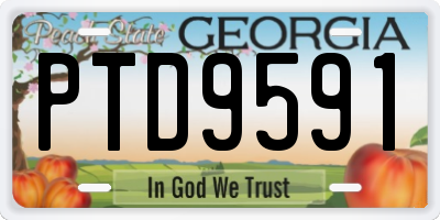 GA license plate PTD9591
