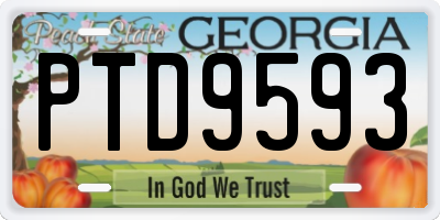 GA license plate PTD9593
