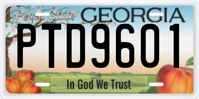 GA license plate PTD9601
