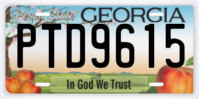 GA license plate PTD9615