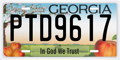 GA license plate PTD9617