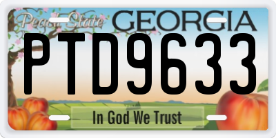 GA license plate PTD9633