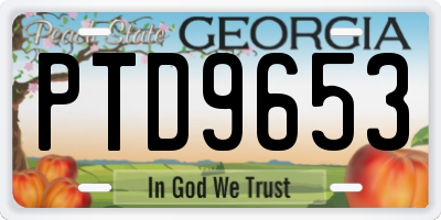 GA license plate PTD9653