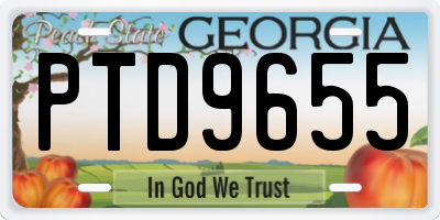 GA license plate PTD9655